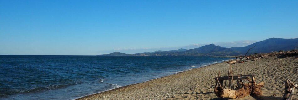 Le Bocal du Tech - Rencontre LGBT dans les Pyrénées-orientales